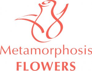 Logo_Metamorphosis